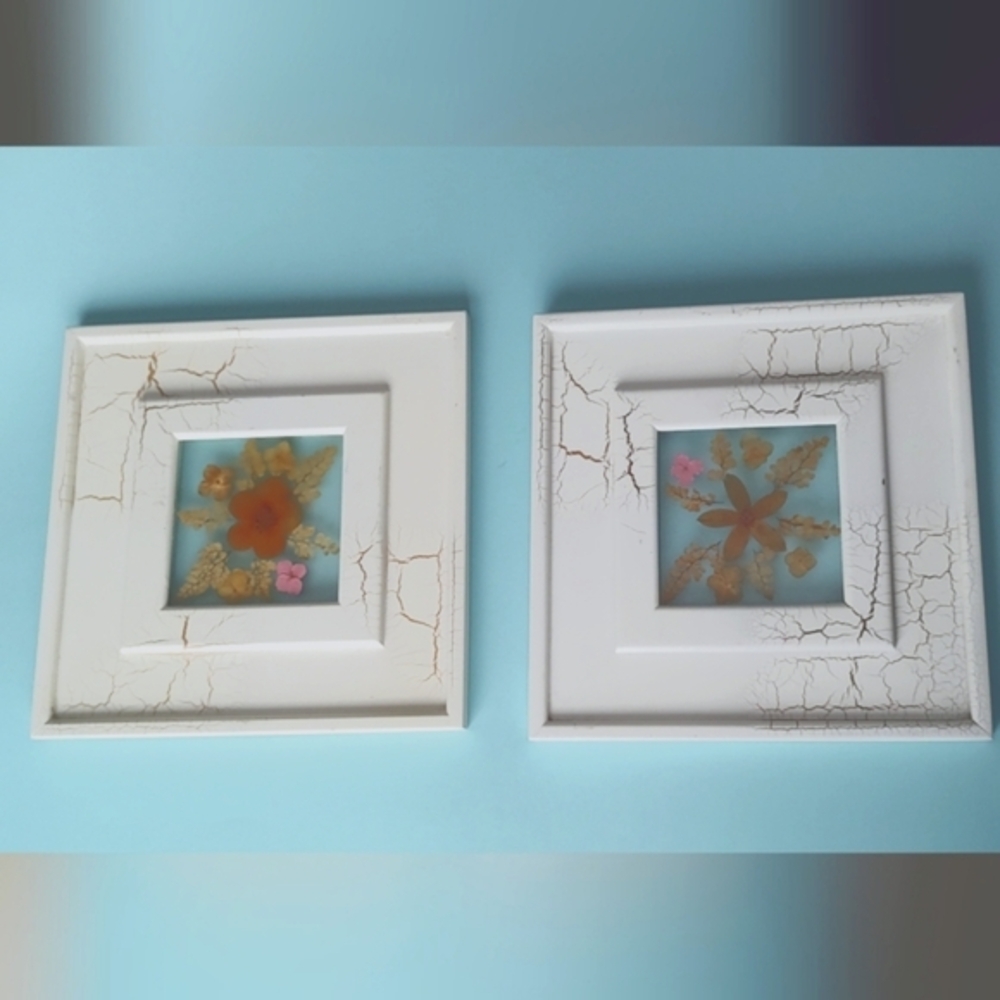 Vintage Floral Framed Art Wildflower Pressed White Square Good Condition